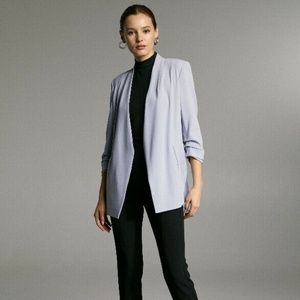 Aritzia Babaton Power Blazer